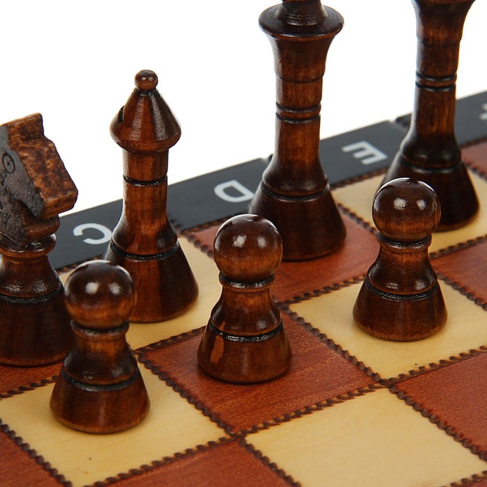 Игра настольная "Шахматы", доска и фигуры дерево, 27х27 см 