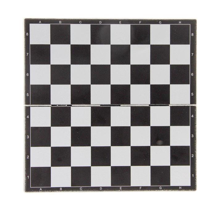 Игра настольная магнитная "Шахматы", фигуры чёрно-белые, 19.5х19.5 см 