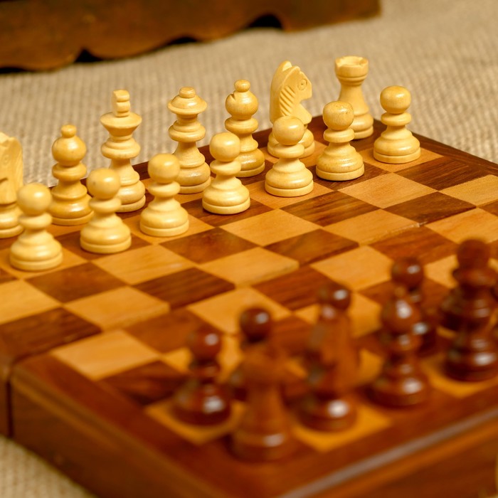 Шахматы на магните "Сила мысли" 