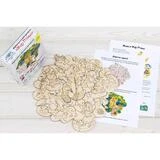 Деревянная мозаика-раскраска «Жар-Птица» 