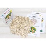 Деревянная мозаика-раскраска «Жар-Птица»  - фото 6