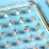 Термомозаика "Слоник" с пинцетом  - фото 2