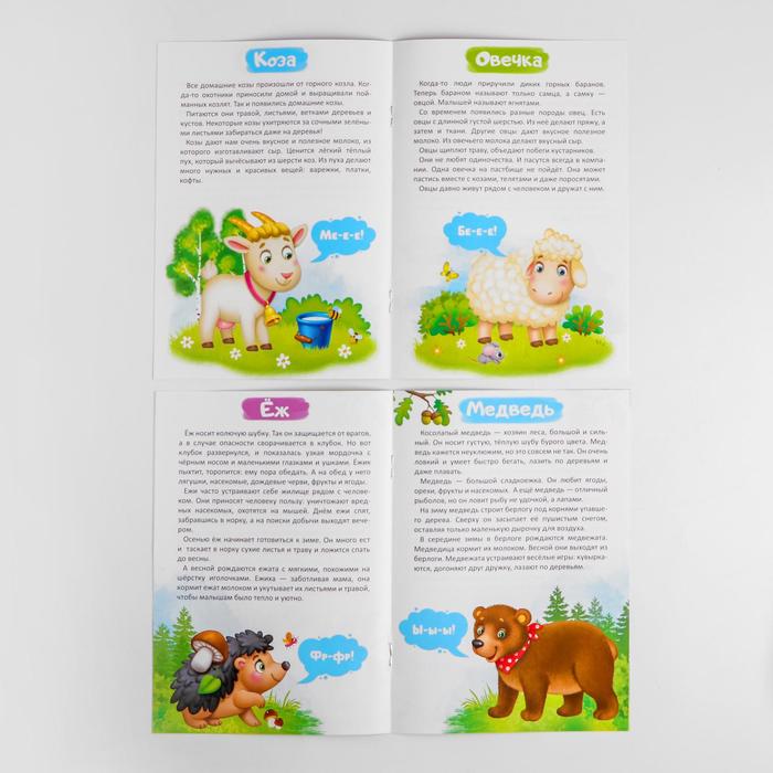 Рамка вкладыш «Лесные животные и животные фермы» + 2 книги (головоломка) 