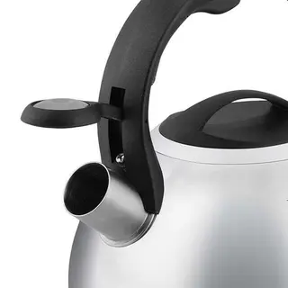 Чайник со свистком Polaris Allegra-3L