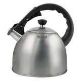 Чайник Rondell Perfect RDS-494