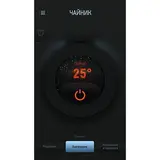 Redmond шәйнегі RK-M171S (Металл) - фото 3