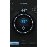 Redmond шәйнегі RK-M171S (Металл) - фото 4