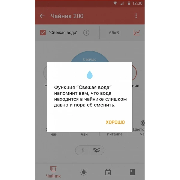 Чайник Redmond SkyKettle RK-G213S - фото 2