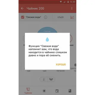 Чайник Redmond SkyKettle RK-G213S