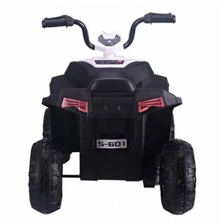 Электроквадроцикл Pituso S601 White