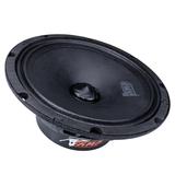 AMP көлігіне арналған эстрадалық акустика Hybrid FR65M20