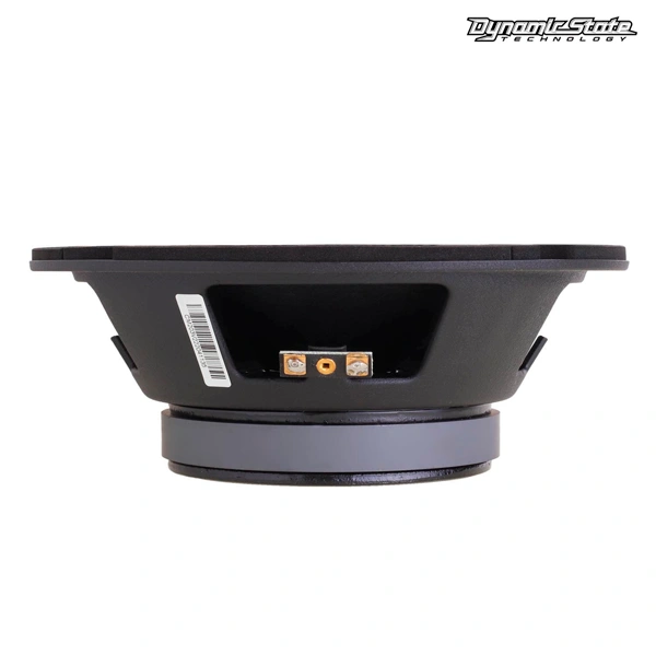 Dynamic State Эстрадалық акустикасы CM-20.3v2 Custom Series - фото 6