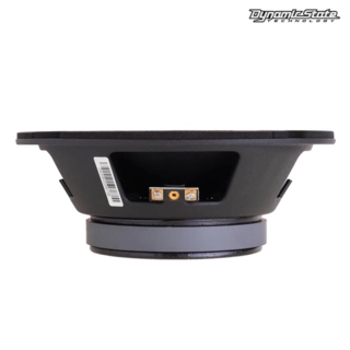 Dynamic State Эстрадалық акустикасы CM-20.3v2 Custom Series