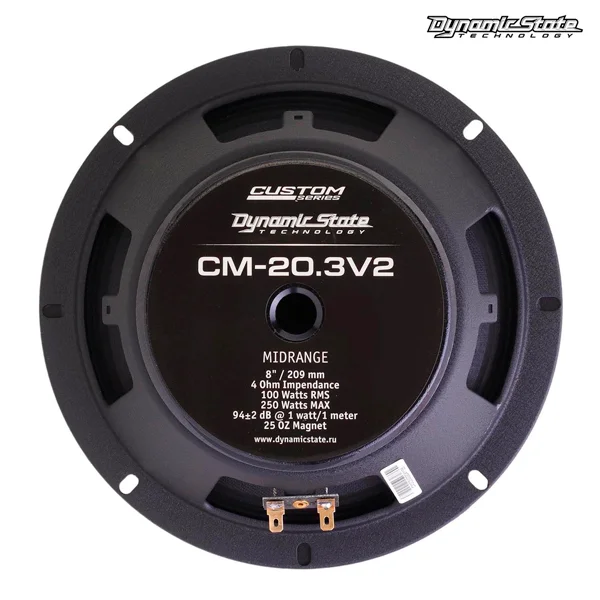 Dynamic State Эстрадалық акустикасы CM-20.3v2 Custom Series - фото 7