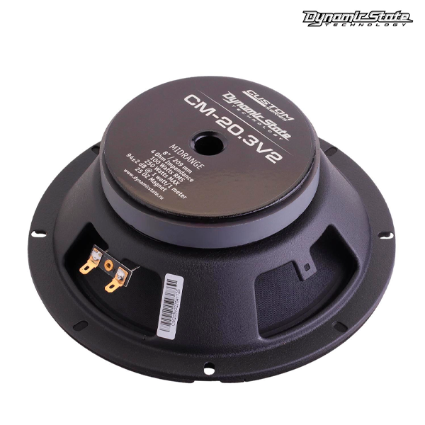 Эстрадная акустика Dynamic State CM-20.3v2 Custom Series - фото 4