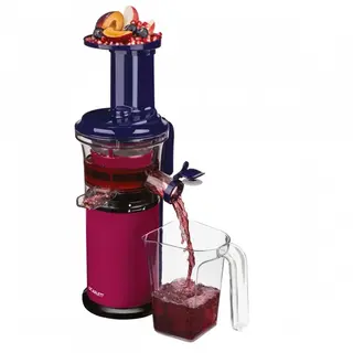 Соковыжималка шнековая Scarlett SC-JE50S41