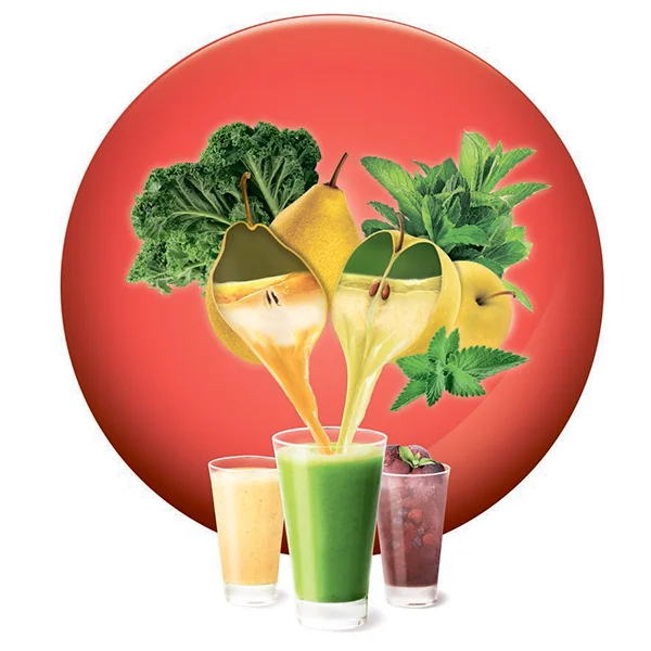 Соковыжималка шнековая Moulinex ZU420E - фото 19