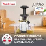 Moulinex шырын сыққышы ZU150110 - фото 6