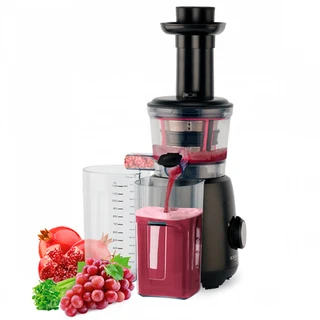 Соковыжималка шнековая Scarlett SC-JE50S54