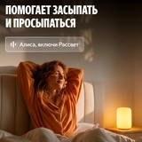 Яндекс ақылды шамы Эмби-Лампа YNDX-00560 - фото 6