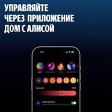 Яндекс ақылды шамы Эмби-Лампа YNDX-00560 - фото 10