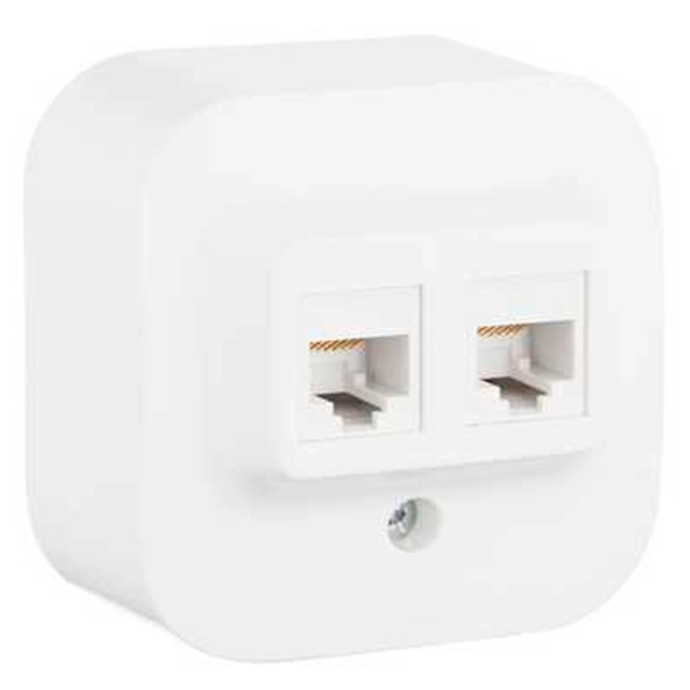 Розетка двойная Legrand Forix RJ 45 кат.5е IP20 накладная белый 