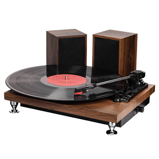 Проигрыватель виниловых пластинок Ritmix LP-280 Buk