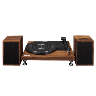 Проигрыватель виниловых пластинок Ritmix LP-280 Buk