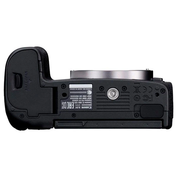 Цифровая фотокамера Canon EOS R+RF 24-105mm F4-7.1 IS STM - фото 8