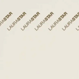 Laurastar қаптағыш 144.7842.898 - фото 2