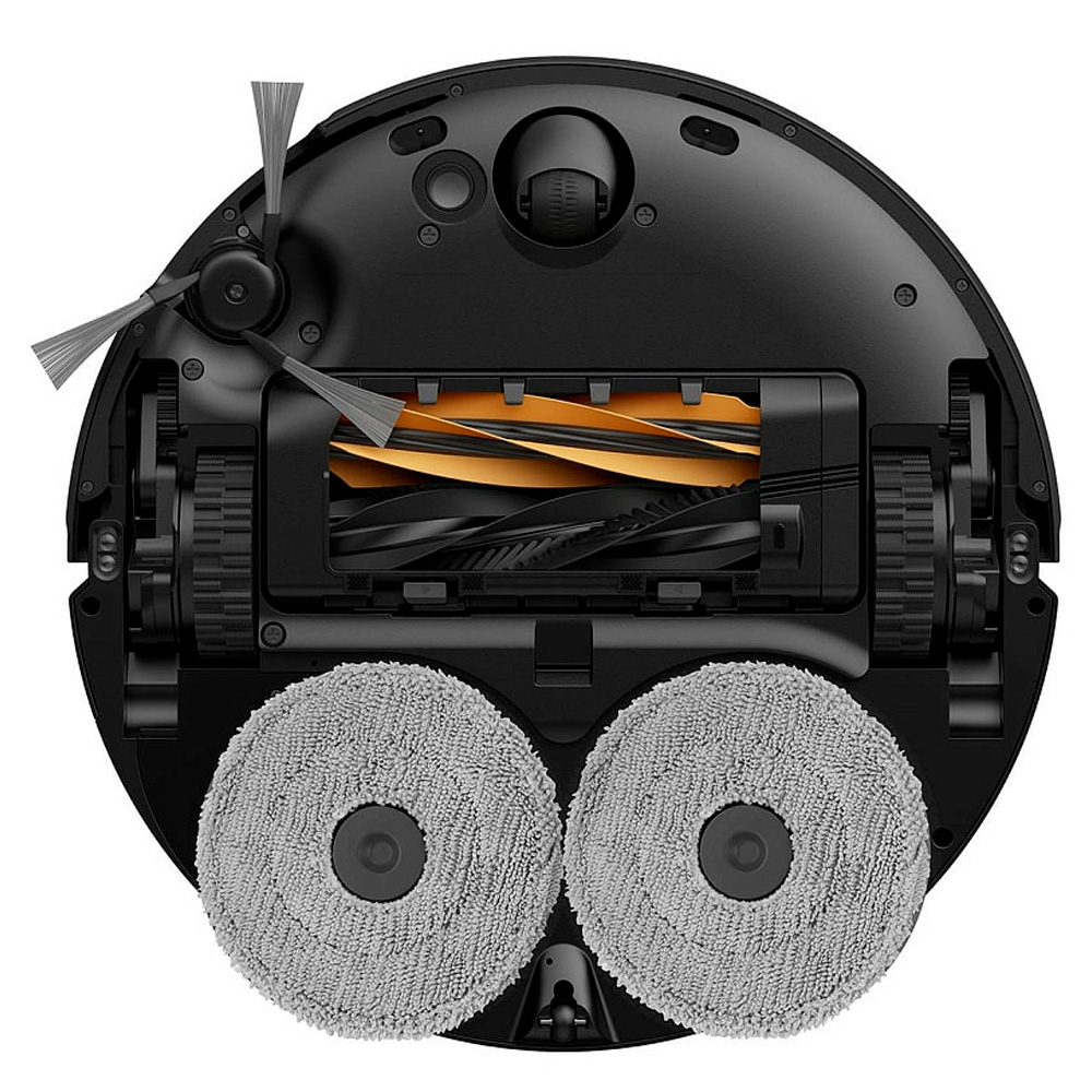 Мүше үлкен мүше