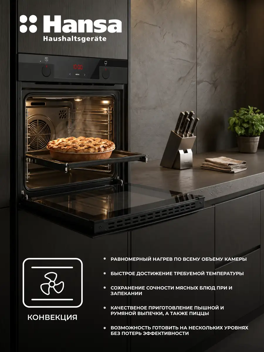 Hansa кіріктірілетін пеші BOEM697688 - фото 13