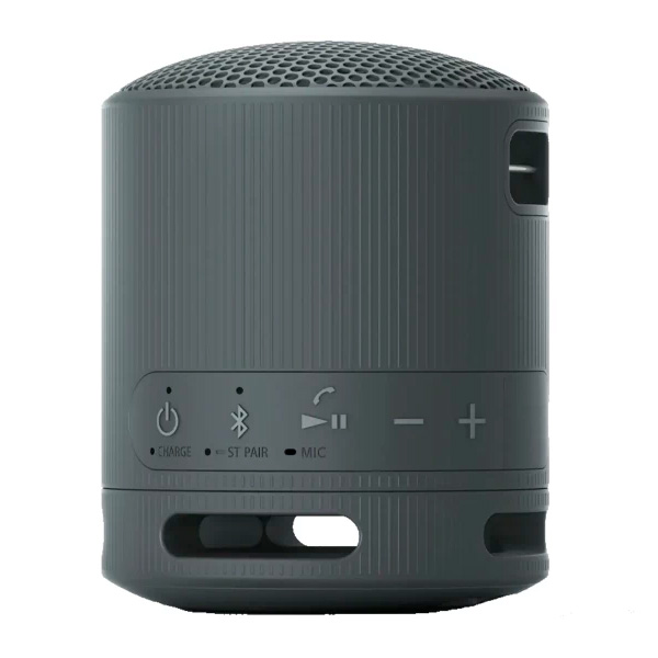 Sony портативті динамигі SRS-XB100/BCE - фото 3