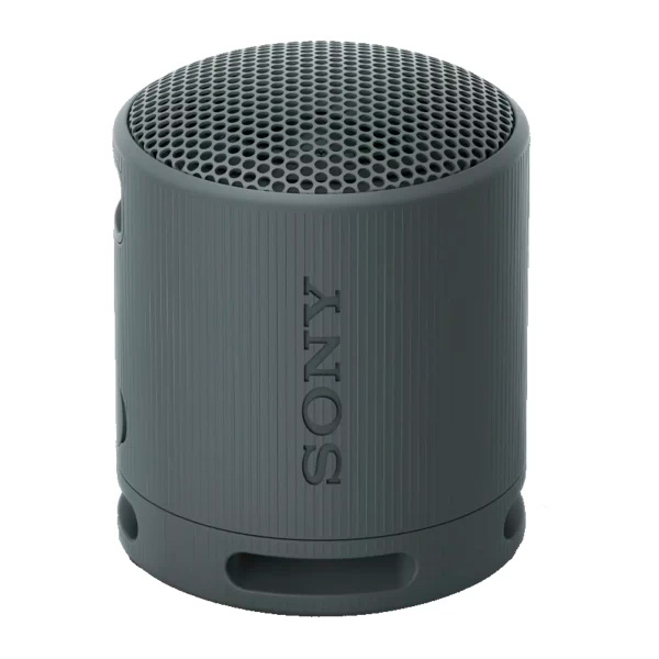 Sony портативті динамигі SRS-XB100/BCE