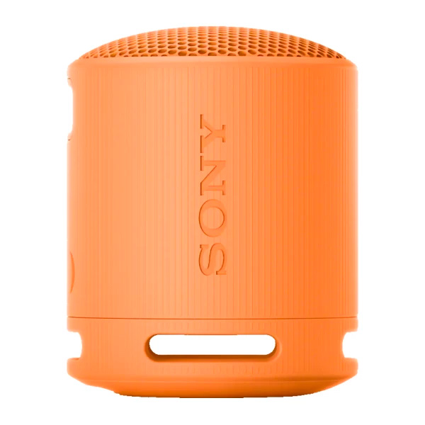 Портативная колонка Sony SRS-XB100/DCE - фото 2