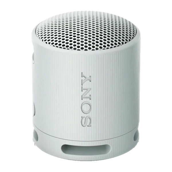 Портативная колонка Sony SRS-XB100/HCE