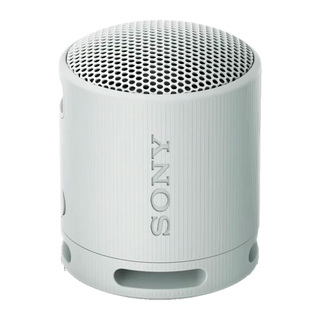 Портативная колонка Sony SRS-XB100/HCE