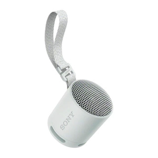 Портативная колонка Sony SRS-XB100/HCE