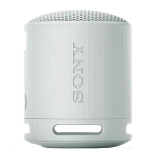 Портативная колонка Sony SRS-XB100/HCE