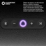 Портативная умная колонка Яндекс Станция Стрит YNDX-00030BLK Black - фото 4