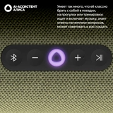 Портативная умная колонка Яндекс Станция Стрит YNDX-00030GRN Green - фото 4