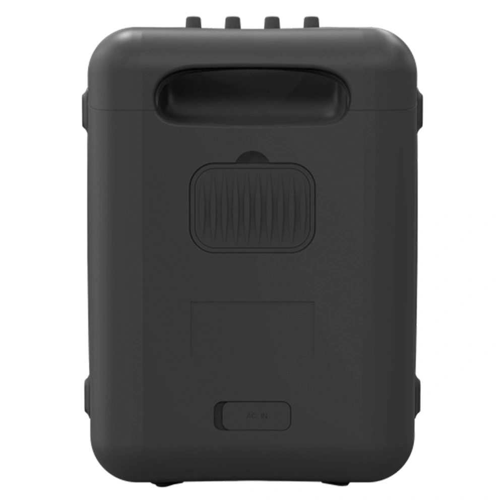 Беспроводная акустическая система Klipsch Vegas Black - фото 4