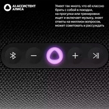 Портативная умная колонка Яндекс Станция Стрит Orange - фото 4