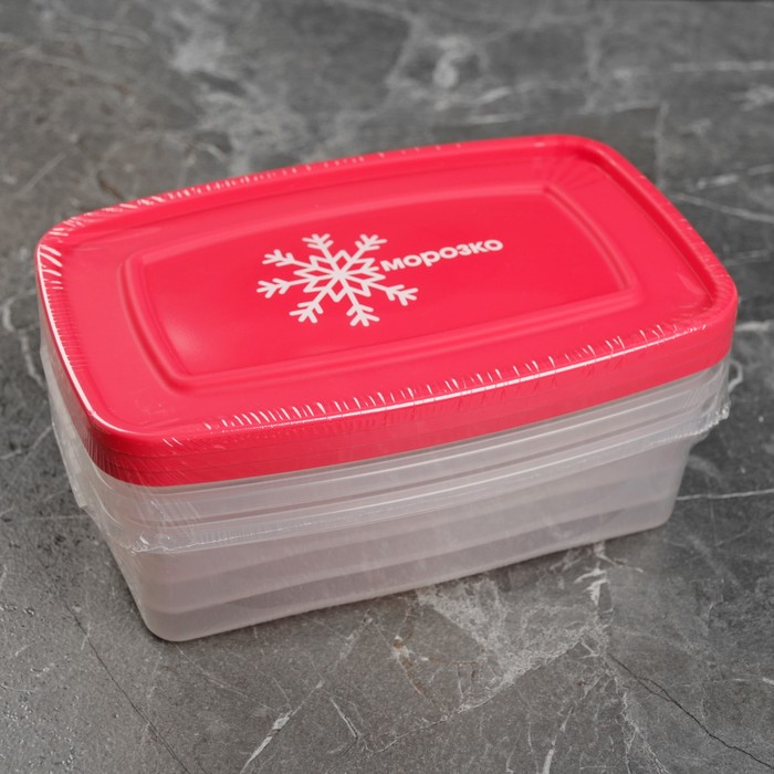 Набор контейнеров для замораживания продуктов 0,7 л "Морозко" 3 шт 