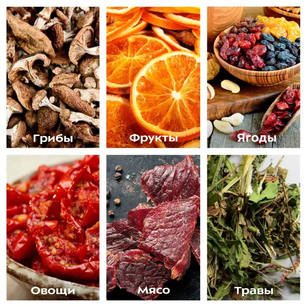 Сушилка для овощей и фруктов Kitfort КТ-1914 - фото 5