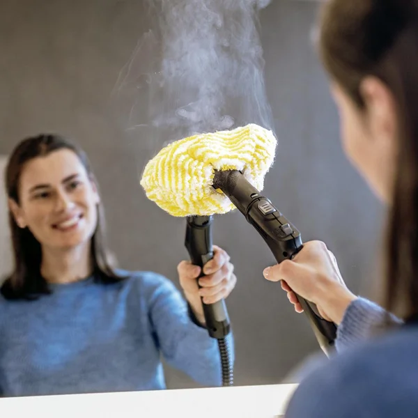 Пароочиститель Karcher SC 5 EasyFix Iron Plug - фото 8