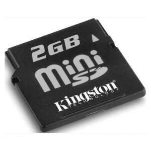 Карта памяти KINGSTON 2GB GB Secure Digital MiniSD Kingston SD