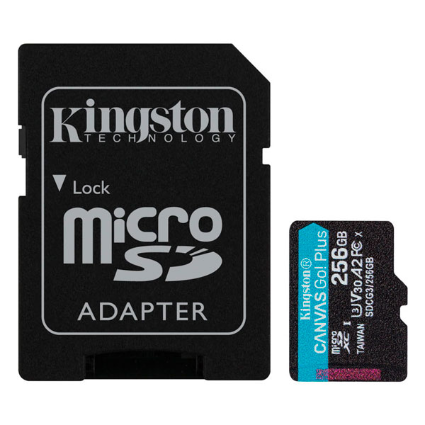 Карта памяти microSD Kingston SDCG3/256GB