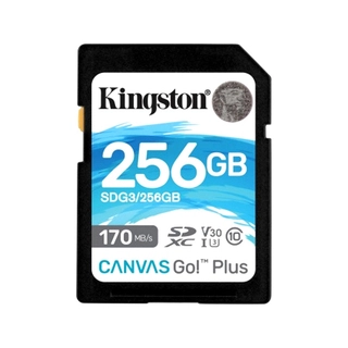 Карта памяти Kingston SDG3/256GB SD 256GB 