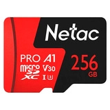 Карта памяти Netac NT02P500PRO-256G-S V30/A1/U3 256GB 